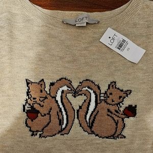 Loft Fall knit top XS NWT